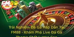 Trải Nghiệm Đá Gà Hấp Dẫn Tại FM88 - Khám Phá Live Đá Gà Thomo Chất Lượng Cao 10 Trai Nghiem A Ga Hap Dan Tai Fm88 Kham Pha Live A Ga Thomo Chat Luong Cao